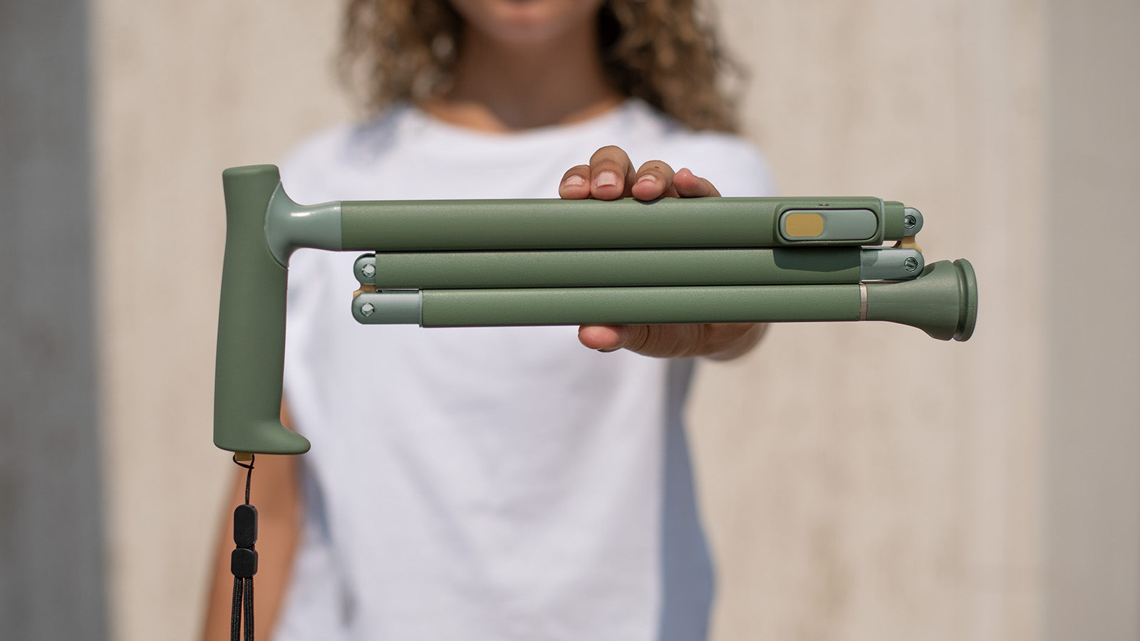 Michael Graves Design