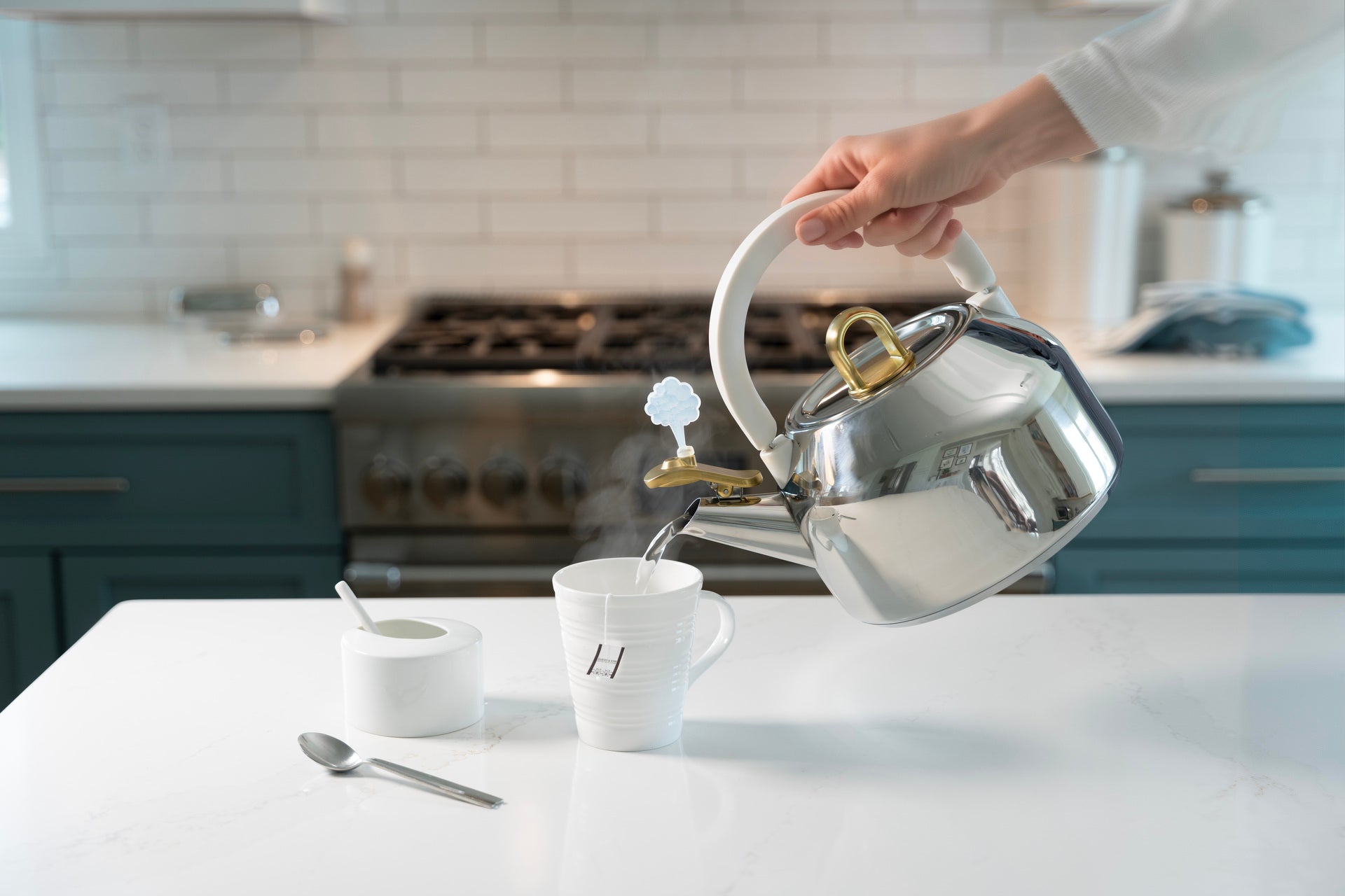 Michael Graves Design