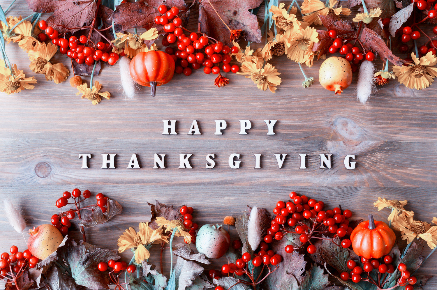 Thanksgiving Hosting Guide - Kitchen Must Haves by MGD