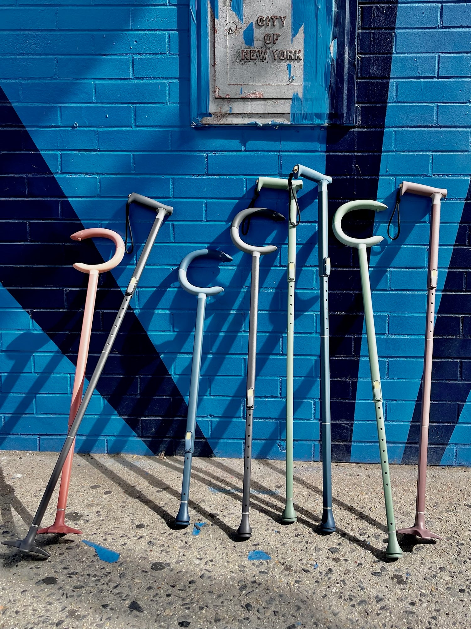 assorted mgd canes standing against blue wall