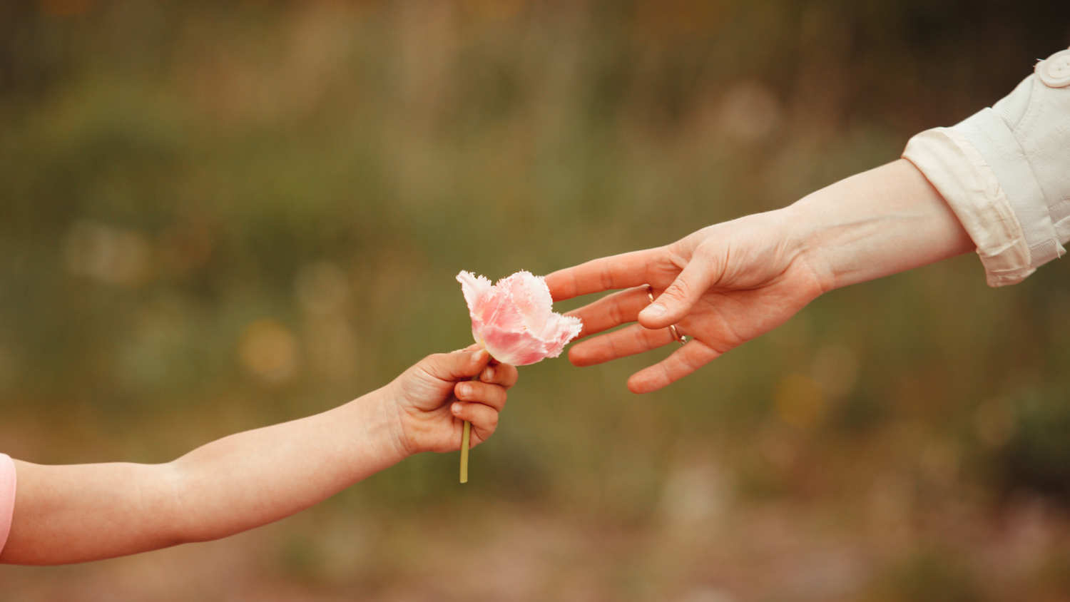 Meaningful Mother’s Day Gifts from Michael Graves Design