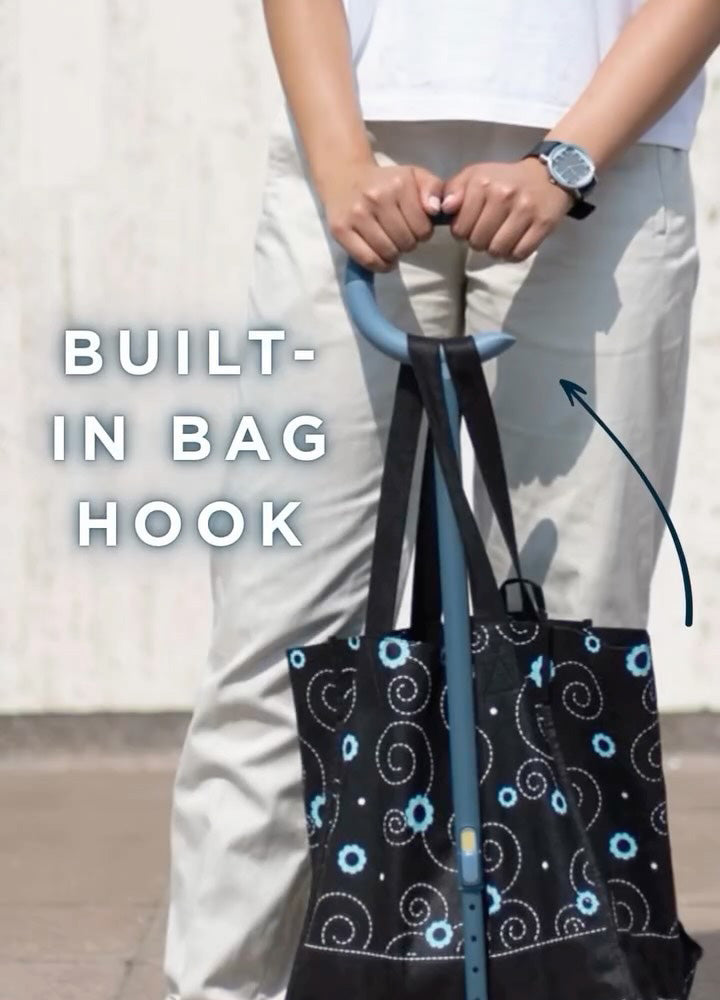 Michael Graves Design