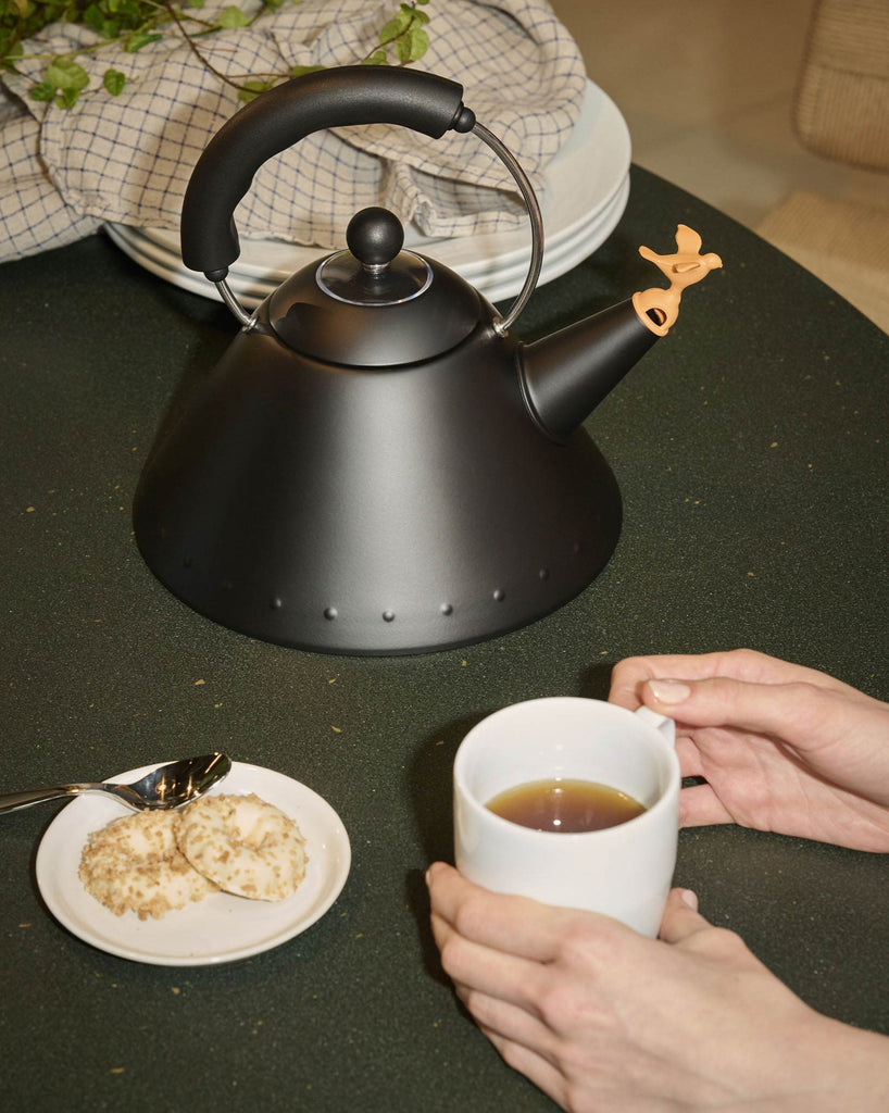 9093 40th Anniversary Kettle – Michael Graves Design