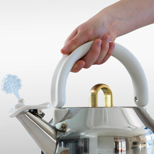 A hand holding the white handle of a stainless steel kettle with a gold-colored top spout, shown against a plain white background.