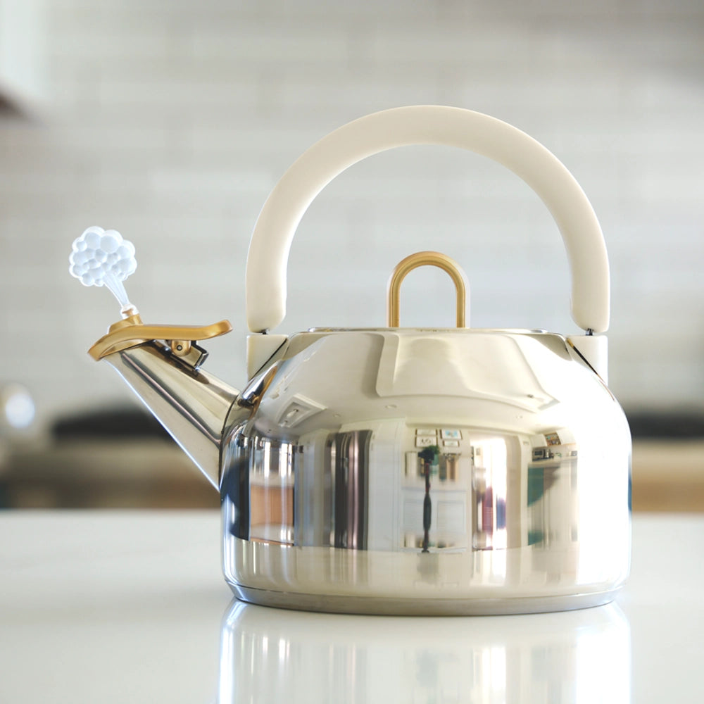 Michael Graves Design