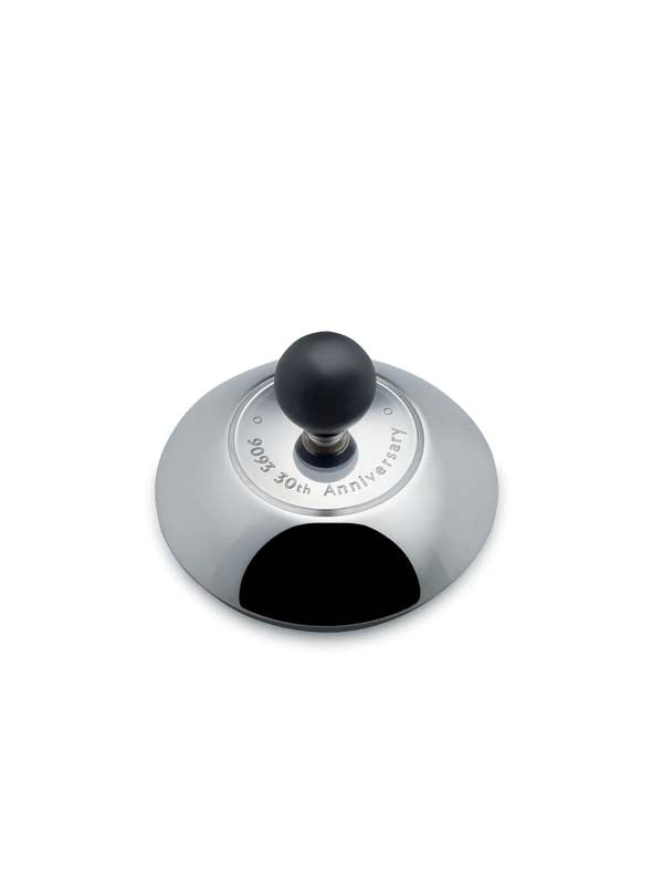 Tea Rex Tea Kettle