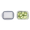35 Ounce High Borosilicate Glass Rectangle Food Storage Container with Indigo Rubber Seal