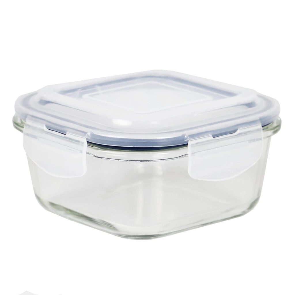 Michael Graves Design 17 Ounce High Borosilicate Glass Square Food Storage  Container with Indigo Rubber Seal, FOOD PREP
